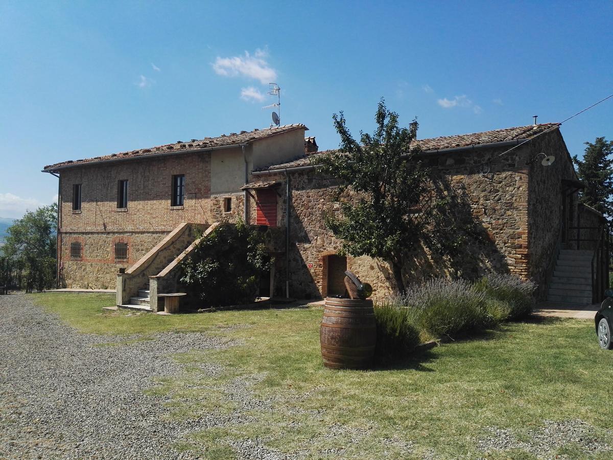 Luce Di Vino * Montalcino