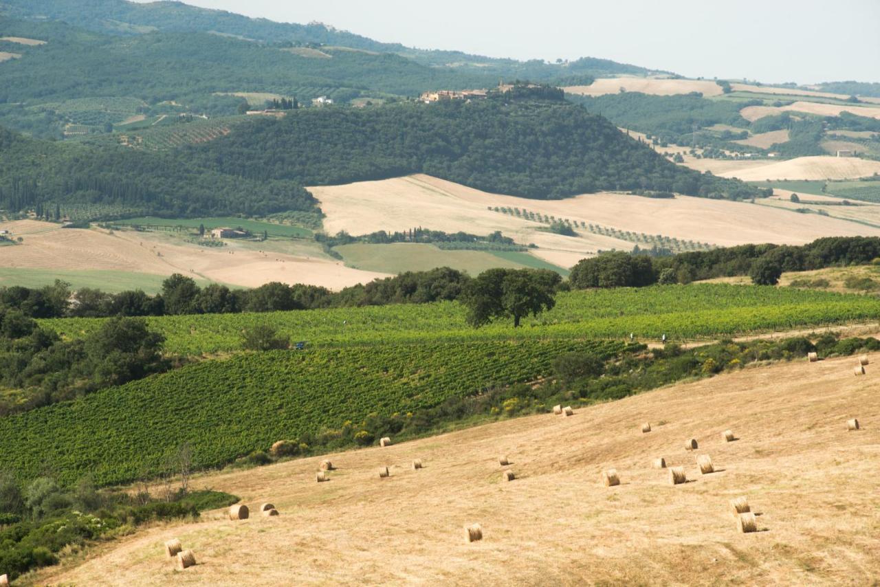 Luce Di Vino Bauernhof Montalcino
